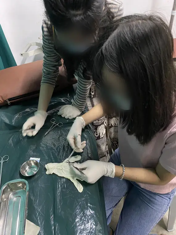 VAI student volunteers, practising sterile technique and wound dressing, Yangon